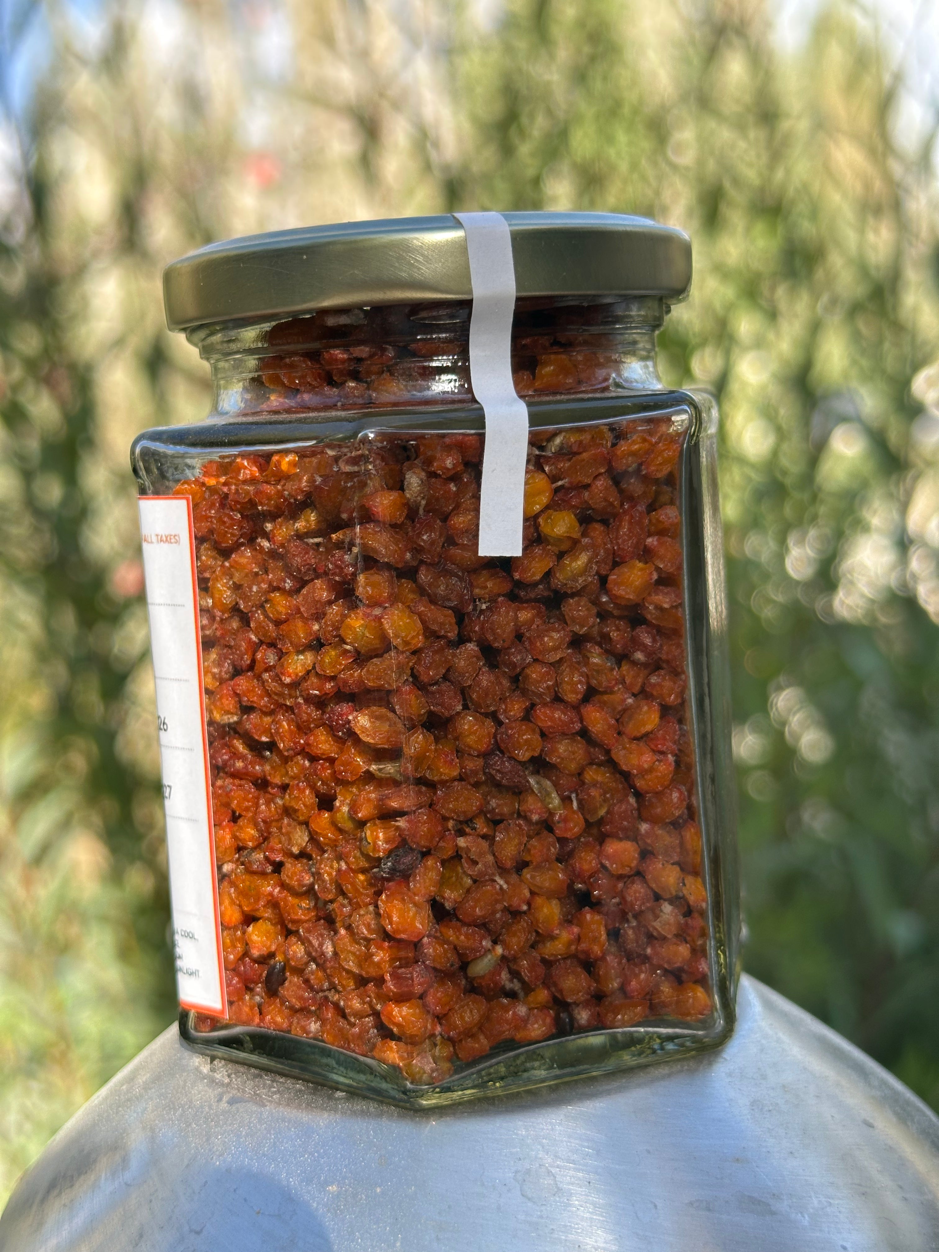 Dried Seabuckthorn berry