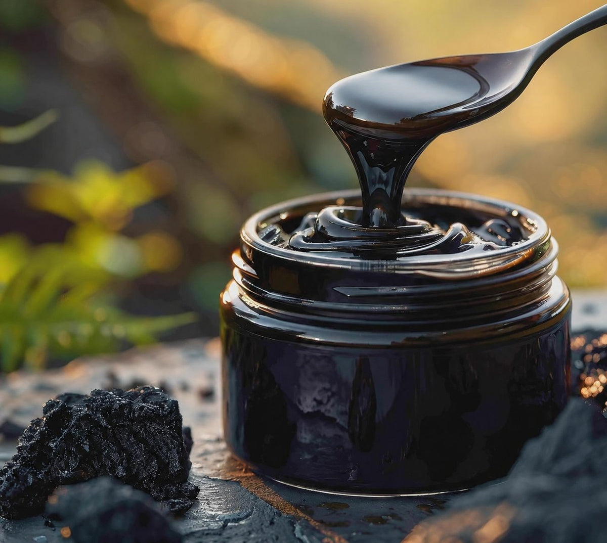 Ladakhi Shilajit